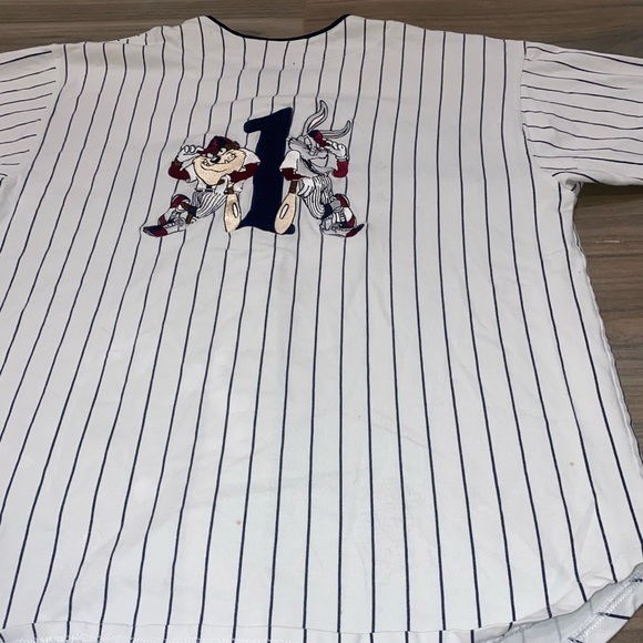 VTG ‘95 ACME Warner Bros. Pinstripe Jersey, Size:M - Picture 10 of 10